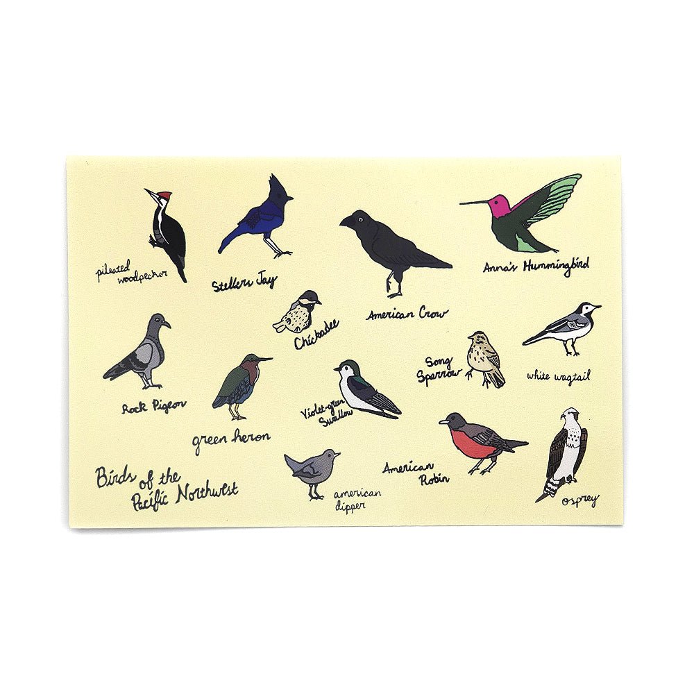 Birds of the Pacific Northwest Postcard - Postcards - Hello From Portland