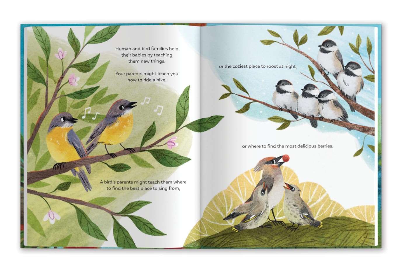 Families of a Feather: Celebration Diversity Book - Kids Books - Hello From Portland