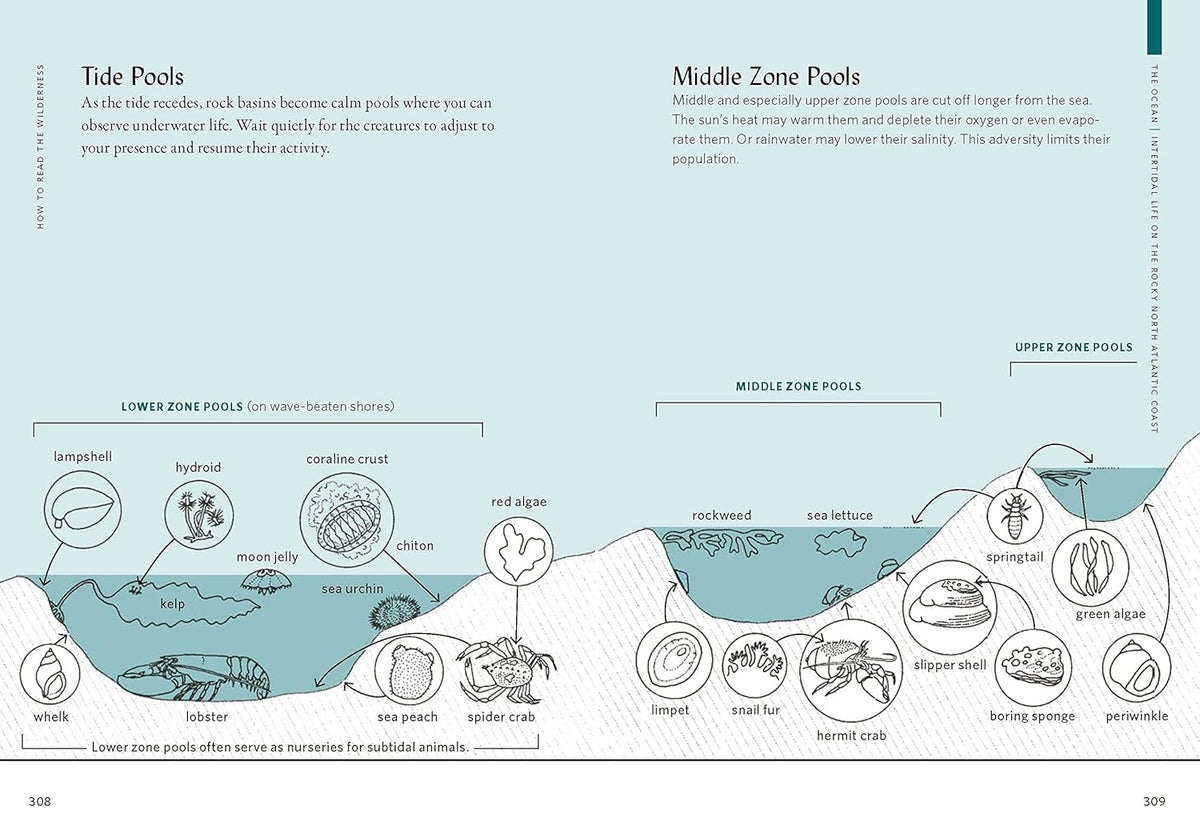 How To Read The Wilderness - Books - Hello From Portland