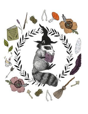 Magic Raccoon Student Print - Prints - Hello From Portland