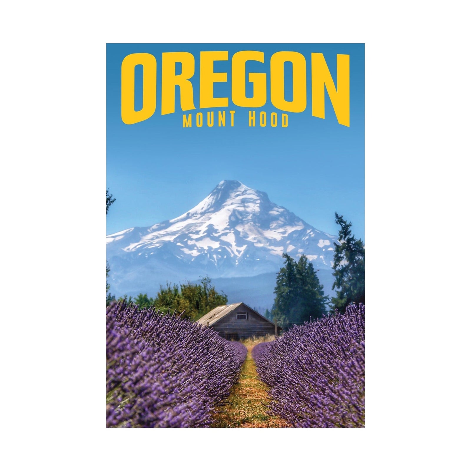 Mount Hood Postcard - Postcards - Hello From Portland