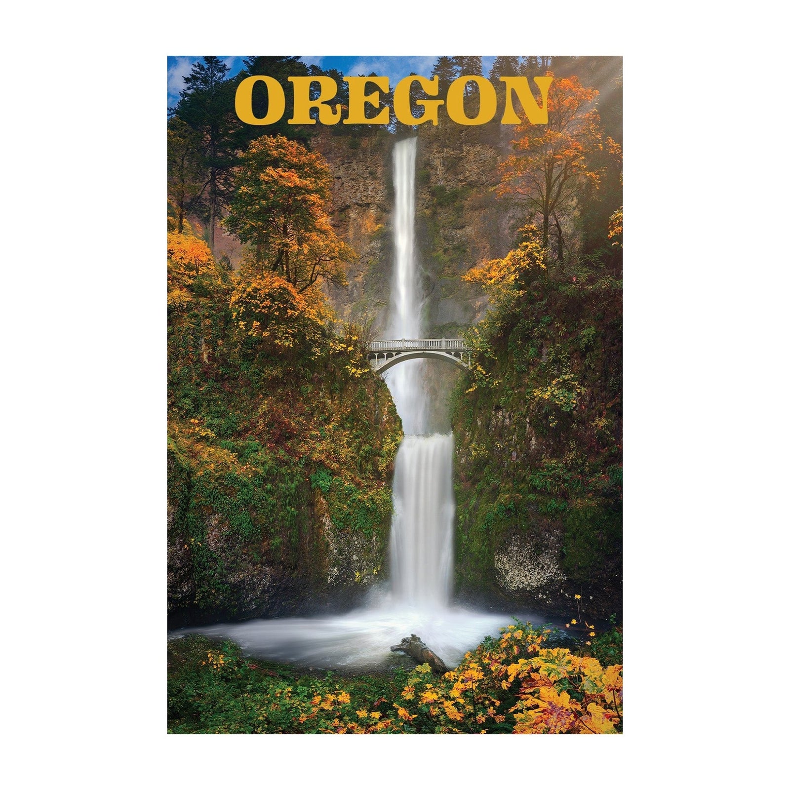 Multnomah Falls Postcard - Postcards - Hello From Portland