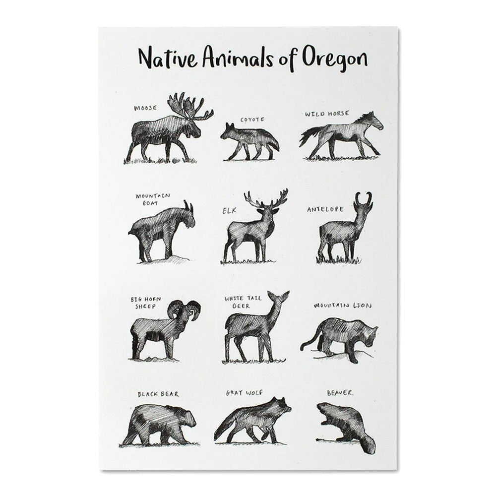 Native Animals of Oregon Postcard - Postcard - Hello From Portland