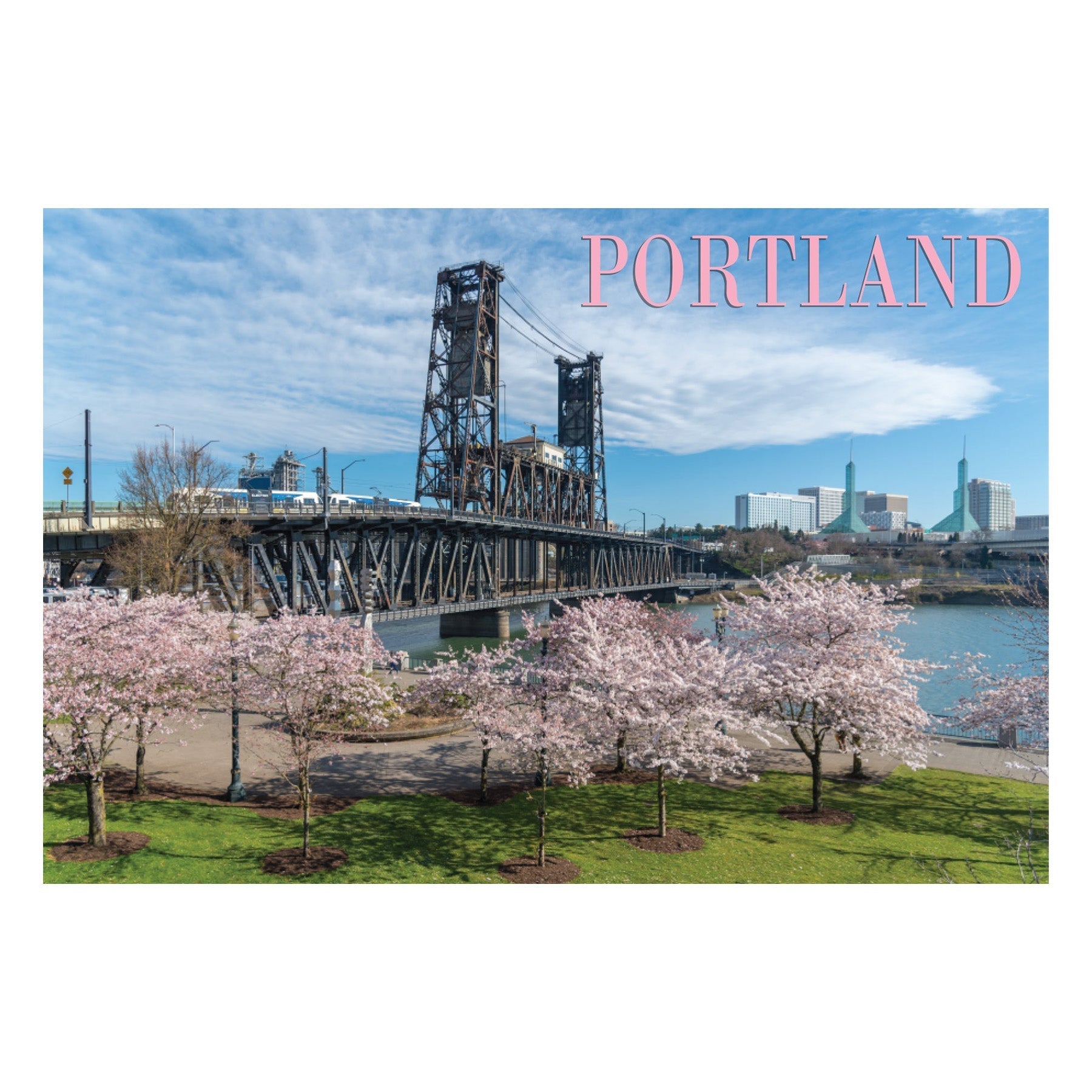 Portland Sakuras Postcard - Postcards - Hello From Portland