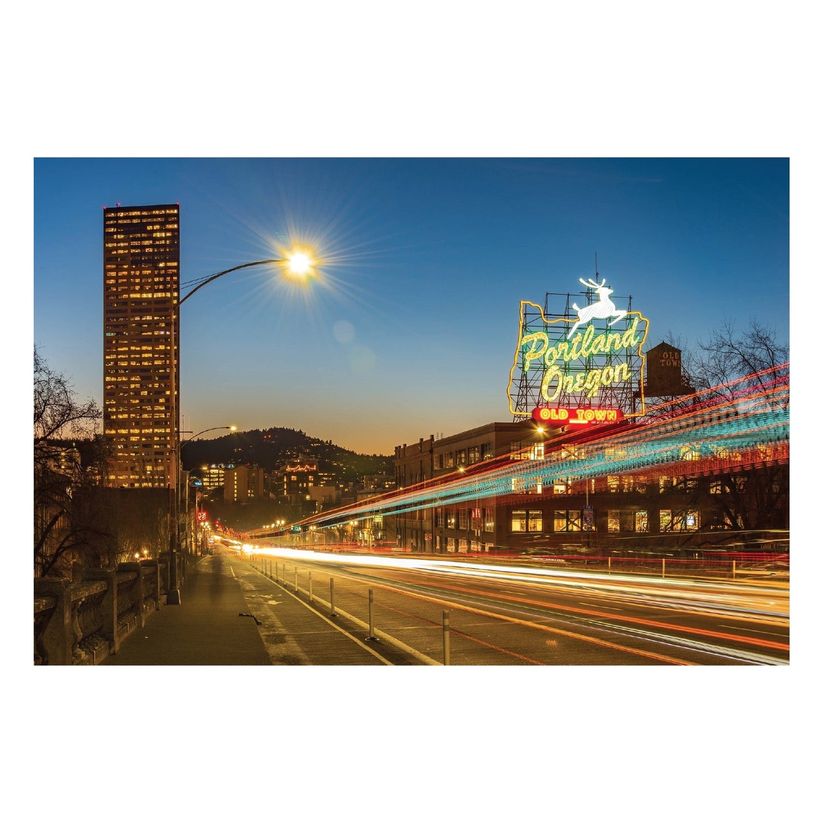 White Stag At Night Postcard - Postcards - Hello From Portland